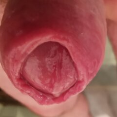 IMG_20221104_075307.jpg