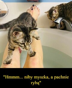 rybka.jpg