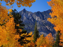 DSCF2173.JPG