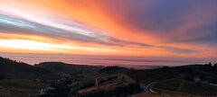 IMG_20210927_072931.jpg