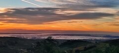 IMG_20210928_074515.jpg