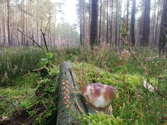 IMG_20221014_100030.jpg