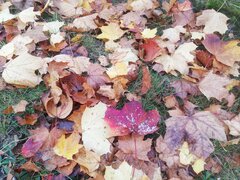 IMG_20221021_114127.jpg