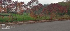 20221031_104431819.jpg