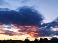 IMG_20220928_064037.jpg
