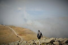DSC_0037.JPG