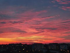 IMG_20221111_162649.jpg
