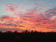 IMG_20221111_162020.jpg