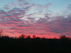 IMG_20221111_162903.jpg