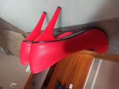 IMG_20221016_160720.jpg