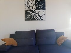 IMG_20221110_150645_508.jpg