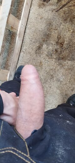 IMG_20220311_091236.jpg