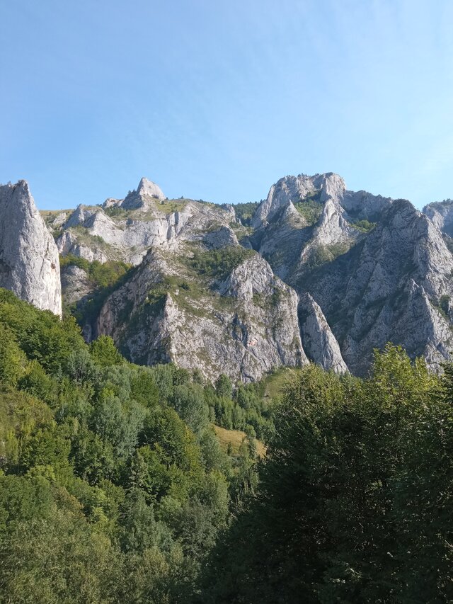 83grzesiek