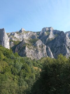 IMG_20210813_165408.jpg