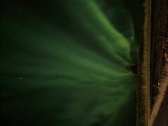 20220903_002946.jpg