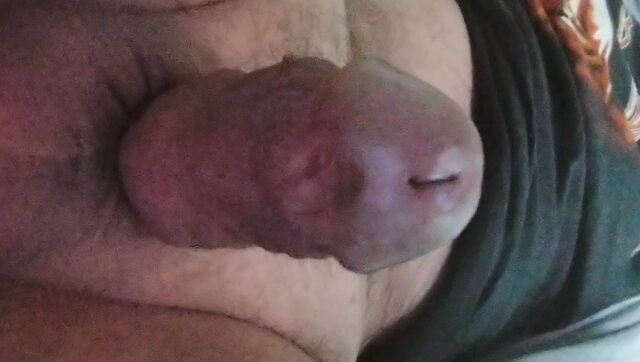 lizalek73