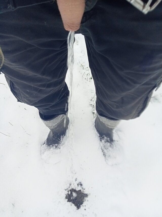 11m