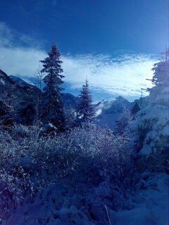 IMG_20221120_114229.jpg
