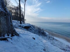 IMG_20221120_112954.jpg