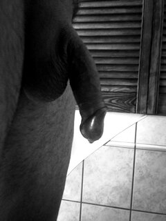 IMG_20221129_114851.jpg