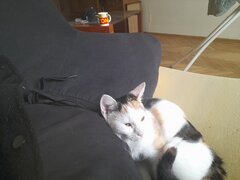20220330_172316.jpg