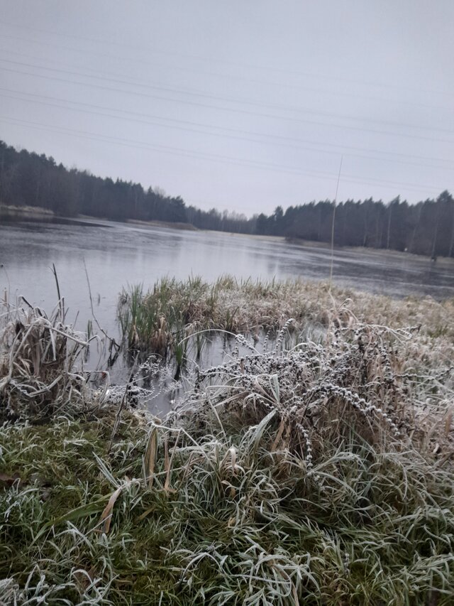 Ambrozja2