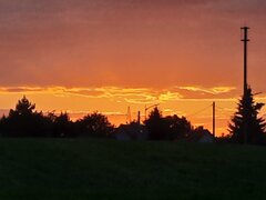 20220713_205603.jpg