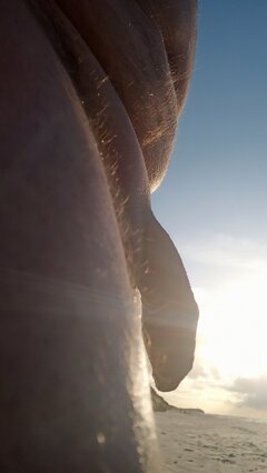 IMG_20220918_180536.jpg