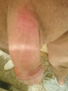 IMG_20221202_025251.jpg