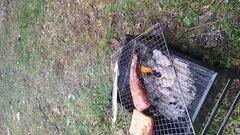 IMG_20221202_141944471.jpg