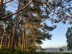 20210718_055039.jpg