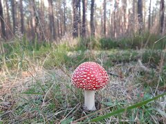 20221005_162535.jpg