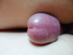 SAM_0912.JPG