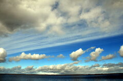 DSC_7524.JPG