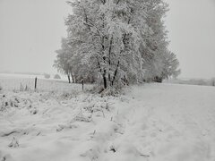 20221208_092058_HDR.jpg