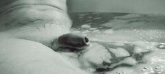 IMG_20221212_201343.jpg