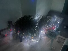 C5A1EC21-42FB-4E05-8071-150D4685C959.jpeg