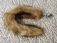 Fox 🦊