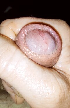 IMG_20221218_083931.jpg