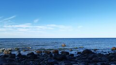 20221007_145153.jpg