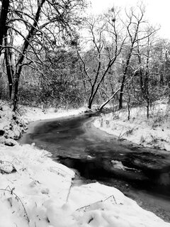 20221218_082659.jpg