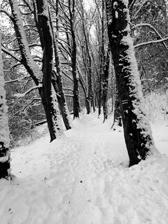 20221218_082917.jpg