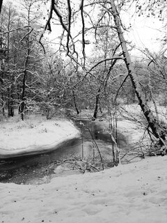 20221218_082908.jpg