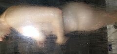 20221218_104156.jpg