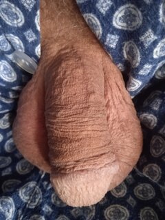 IMG_20221219_082527.jpg