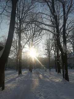 IMG_20221219_091702.jpg