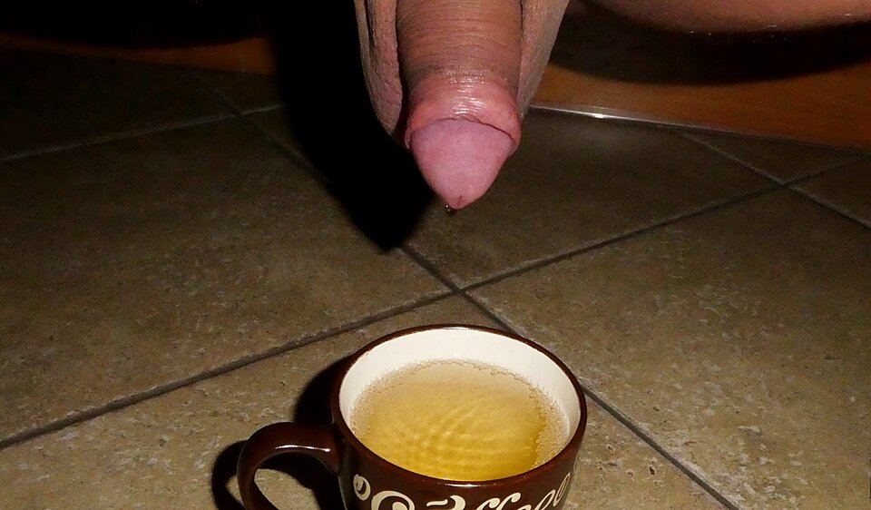P1010016.JPG - analizator29