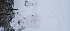 20221217_094853.jpg