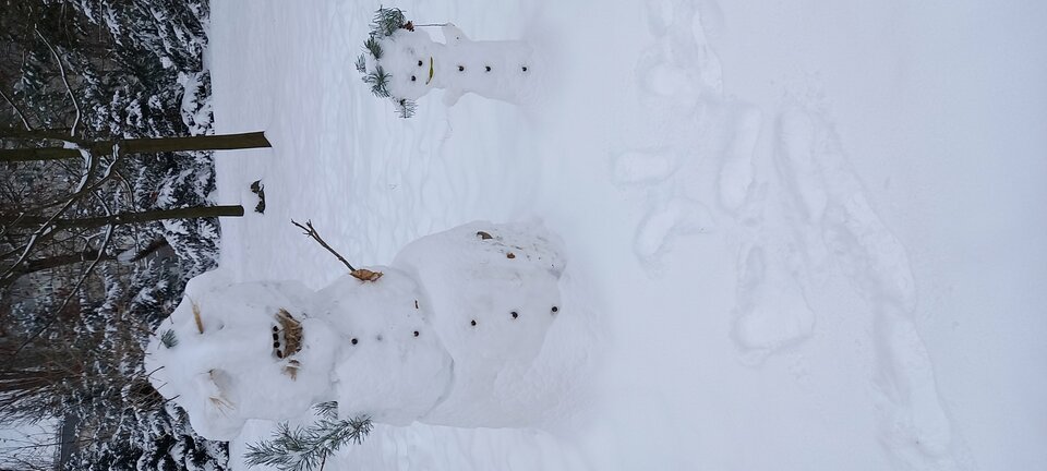20221217_094853.jpg - rosput_nik