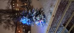 20221217_181730.jpg